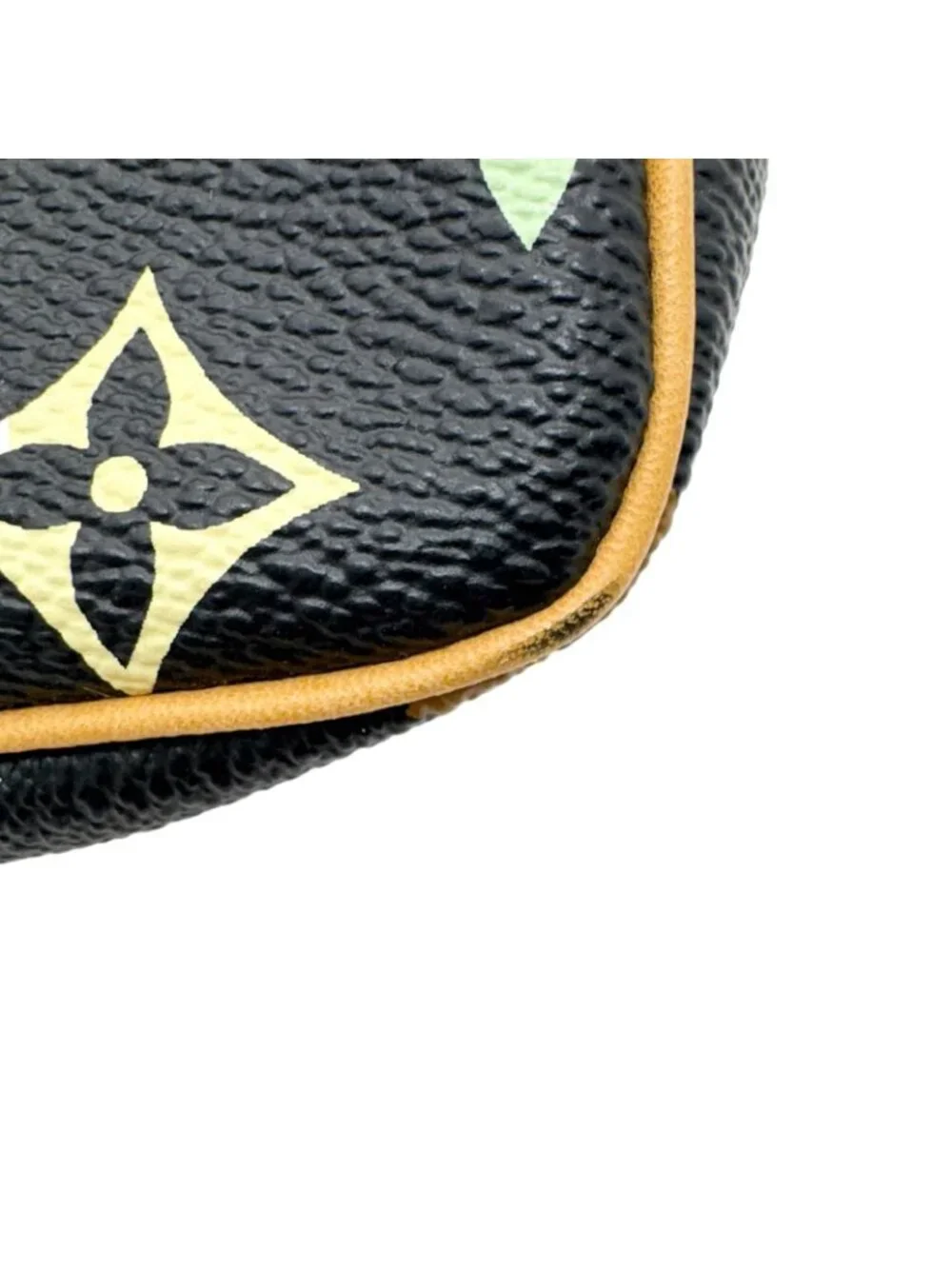 Louis Vuitton Pochette Accessoires Multicolor Noir Handbag